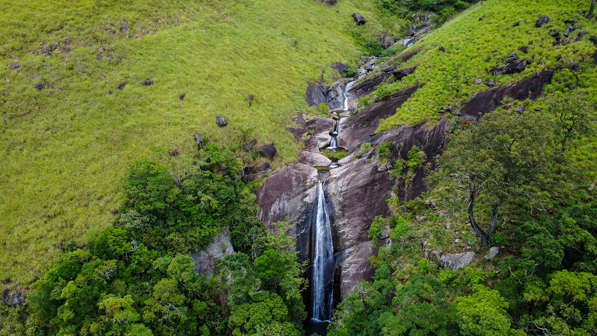 Misty rainforest waterfall in Sri Lanka