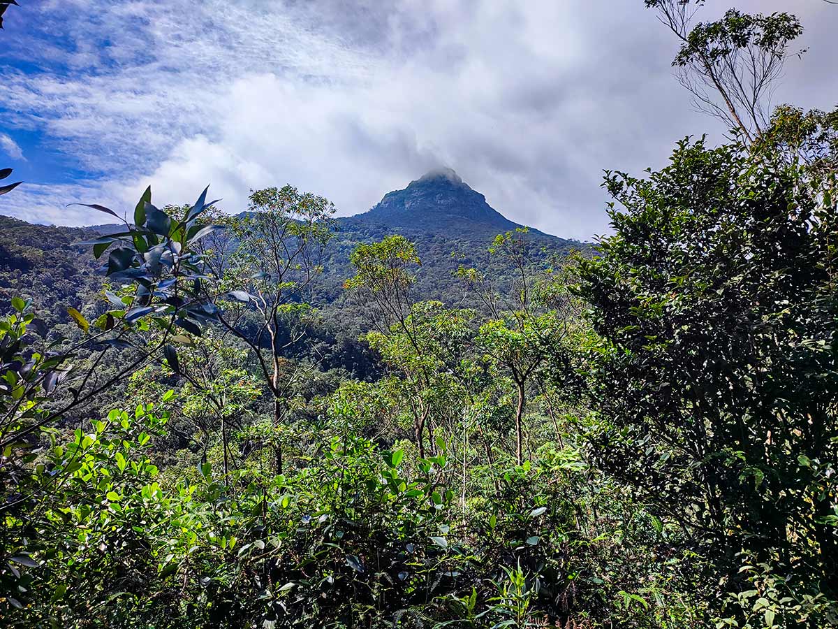 Nallathanniya trailhead at Adam's Peak