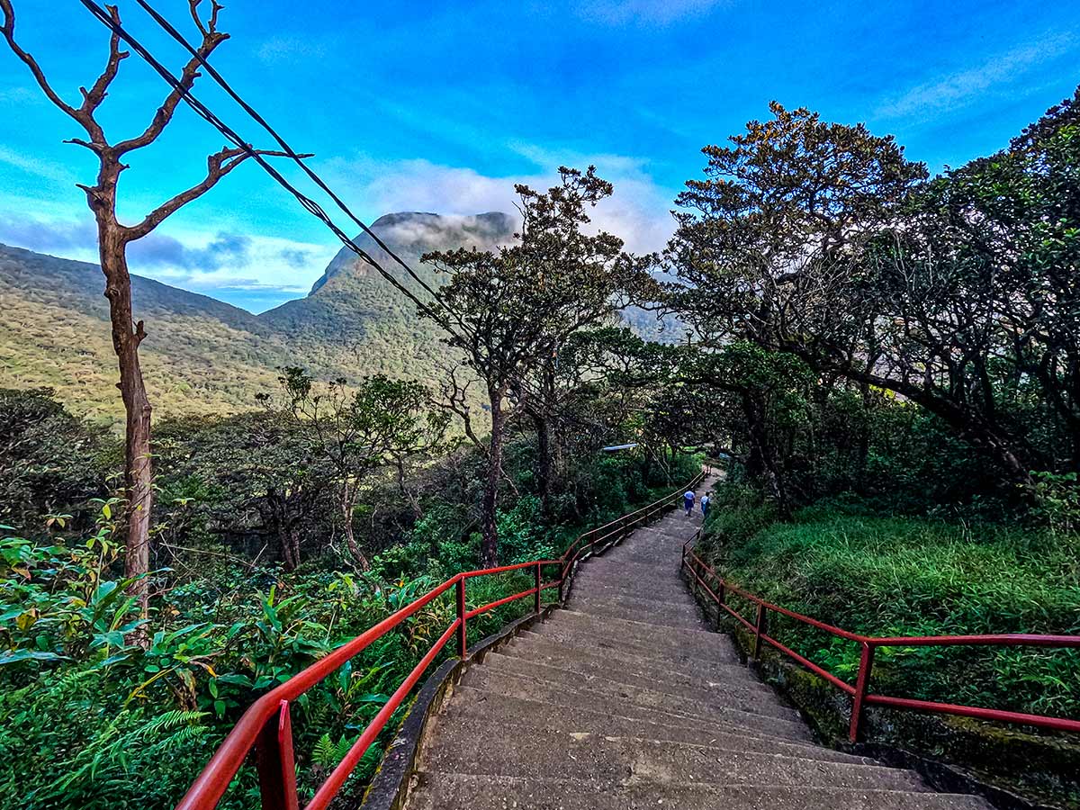 Adam's Peak trail through Peak Wilderness Sanctuary