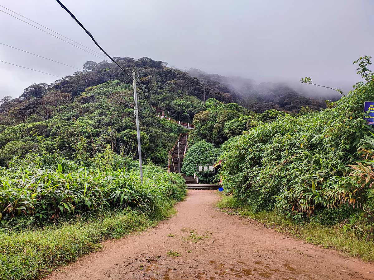 Pilgrims ascending Adam's Peak at night