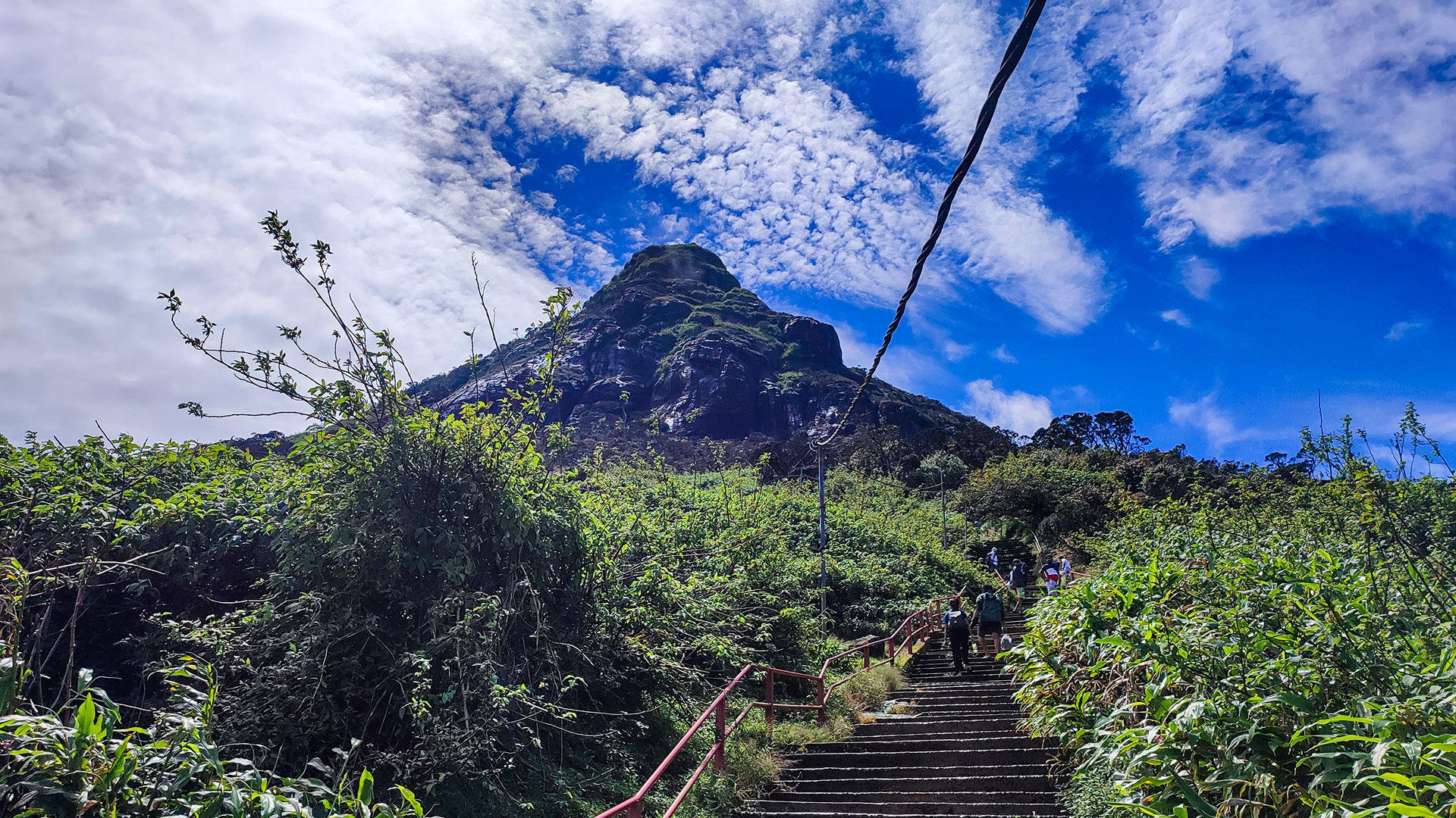 Pilgrims climbing the Hatton Nallathanniya trail to Adam's Peak summit