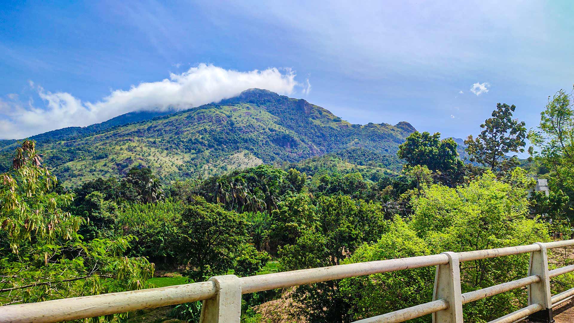 Hawagala Mountain summit overlooking Belihuloya and surrounding highlands