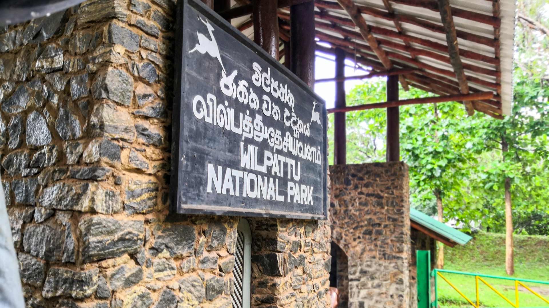 Leopard walking near a villu (natural lake) inside Wilpattu National Park, Sri Lanka