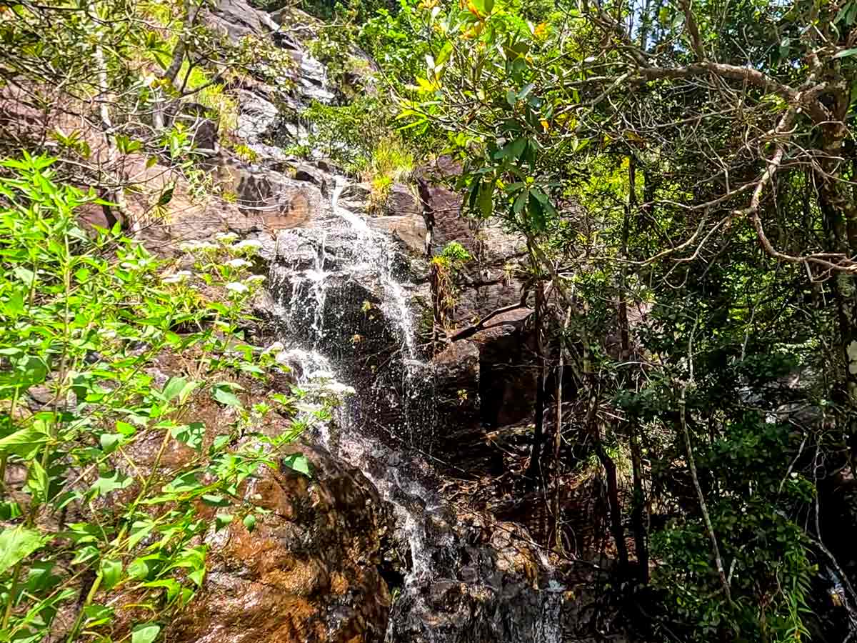 Nonpareil Estate Road — photo 12