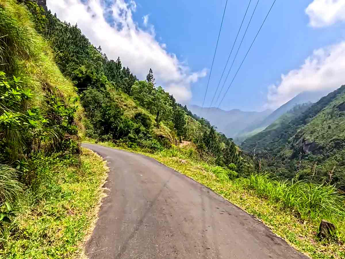 Nonpareil Estate Road — photo 4