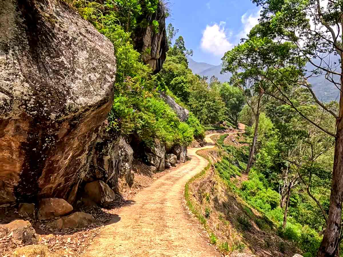 Nonpareil Estate Road — photo 6