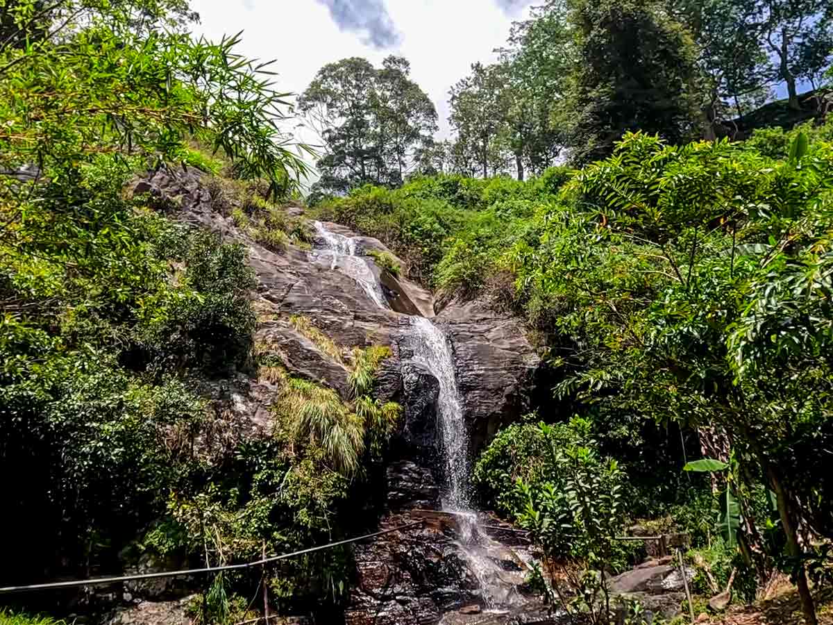 Nonpareil Estate Road — photo 7