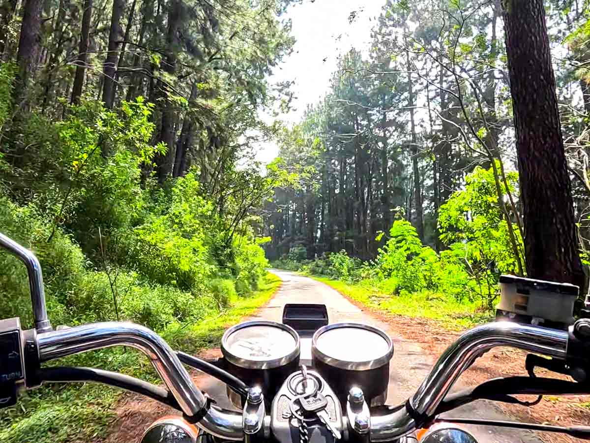 Nonpareil Estate Road — photo 10