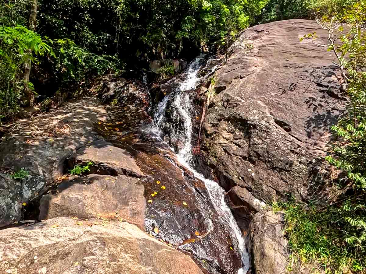 Nonpareil Estate Road — photo 11