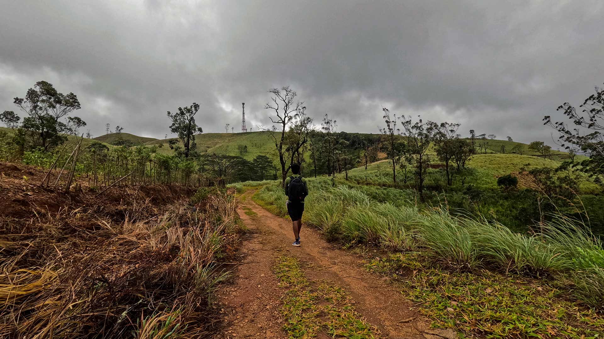 Pekoe Trail winding through tea estates and misty highland valleys in Sri Lanka's central highlands
