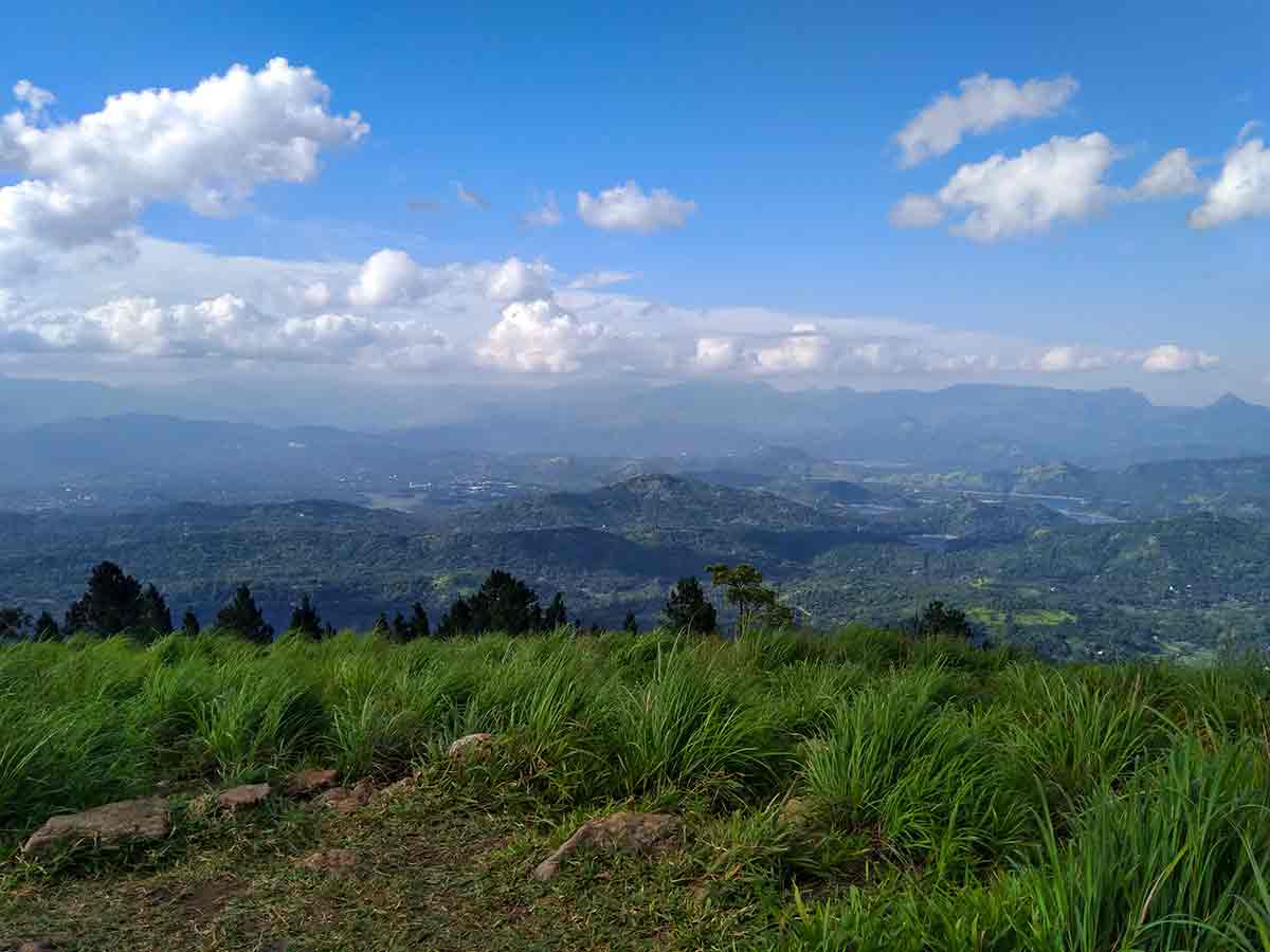 Panoramic view from Bellwood hilltop across forested valleys and distant mountain ranges